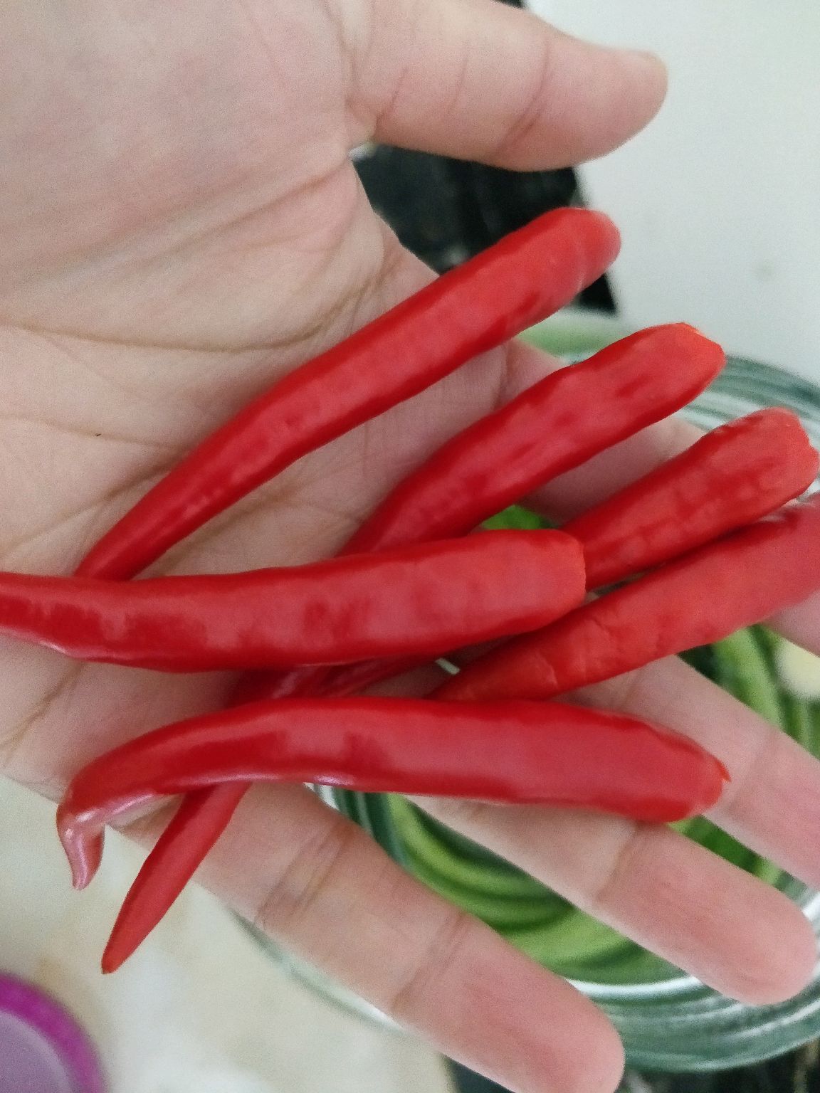 自制酸豆角