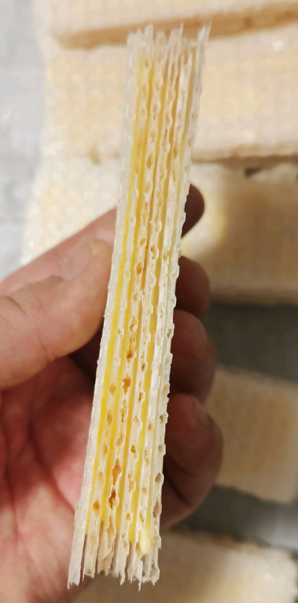 自制威化饼干