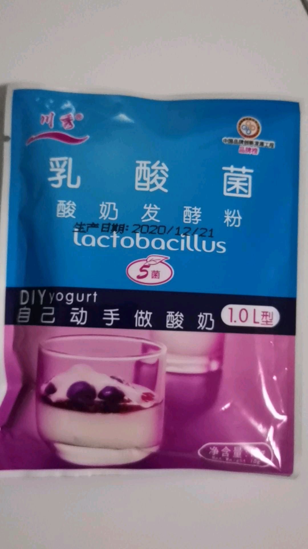 自制希腊酸奶