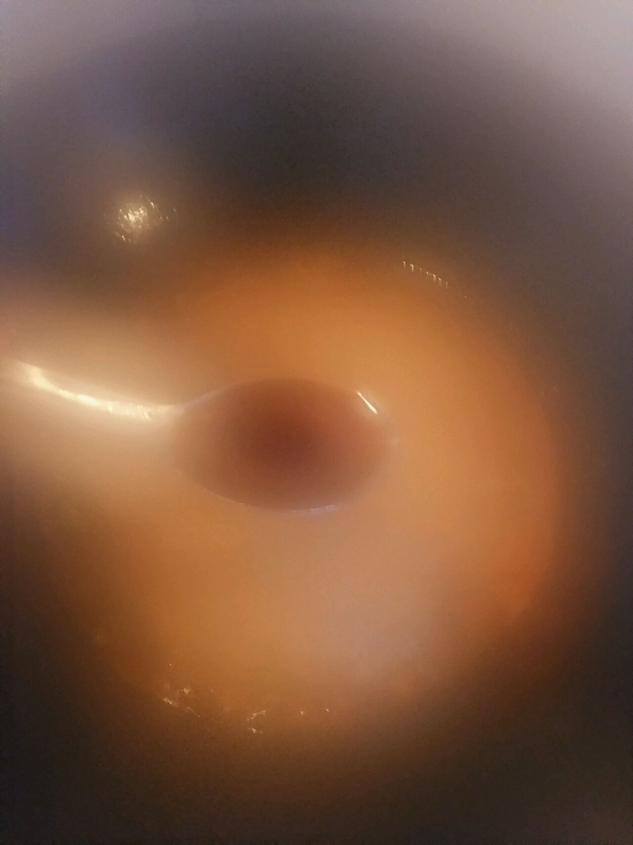 左宗棠鸡